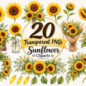 Pode incluir: Uma coleção de 20 ilustrações digitais de girassóis com flores individuais, buquês em vasos, uma caixa de madeira, uma guirlanda e pétalas soltas. O texto central diz 20 Transparent PNGs Sunflower Cliparts.