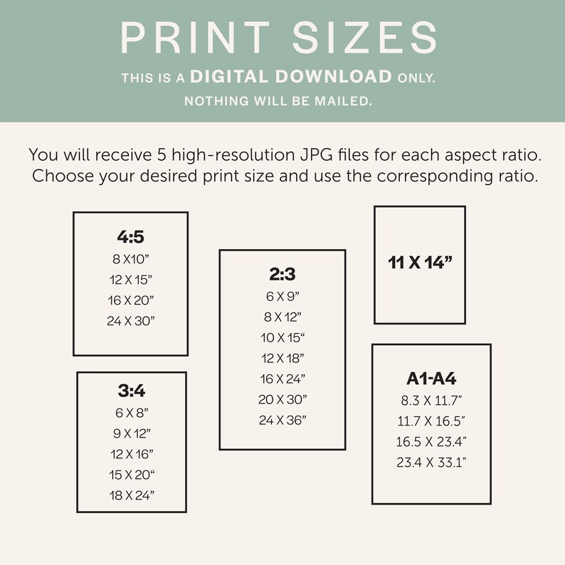 May include: A digital print size guide with text that reads "PRINT SIZES". The guide lists various print sizes in inches for different aspect ratios, including 4:5, 2:3, 3:4, and A1-A4. The text also states that it is a digital download.