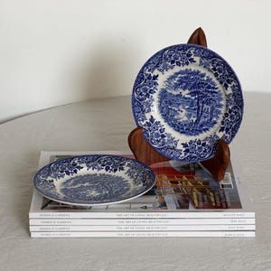May include: Two blue and white decorative plates with a landscape design. One plate is displayed on a wooden stand, the other rests on a stack of magazines. The plates have a floral border and are placed on a white surface.