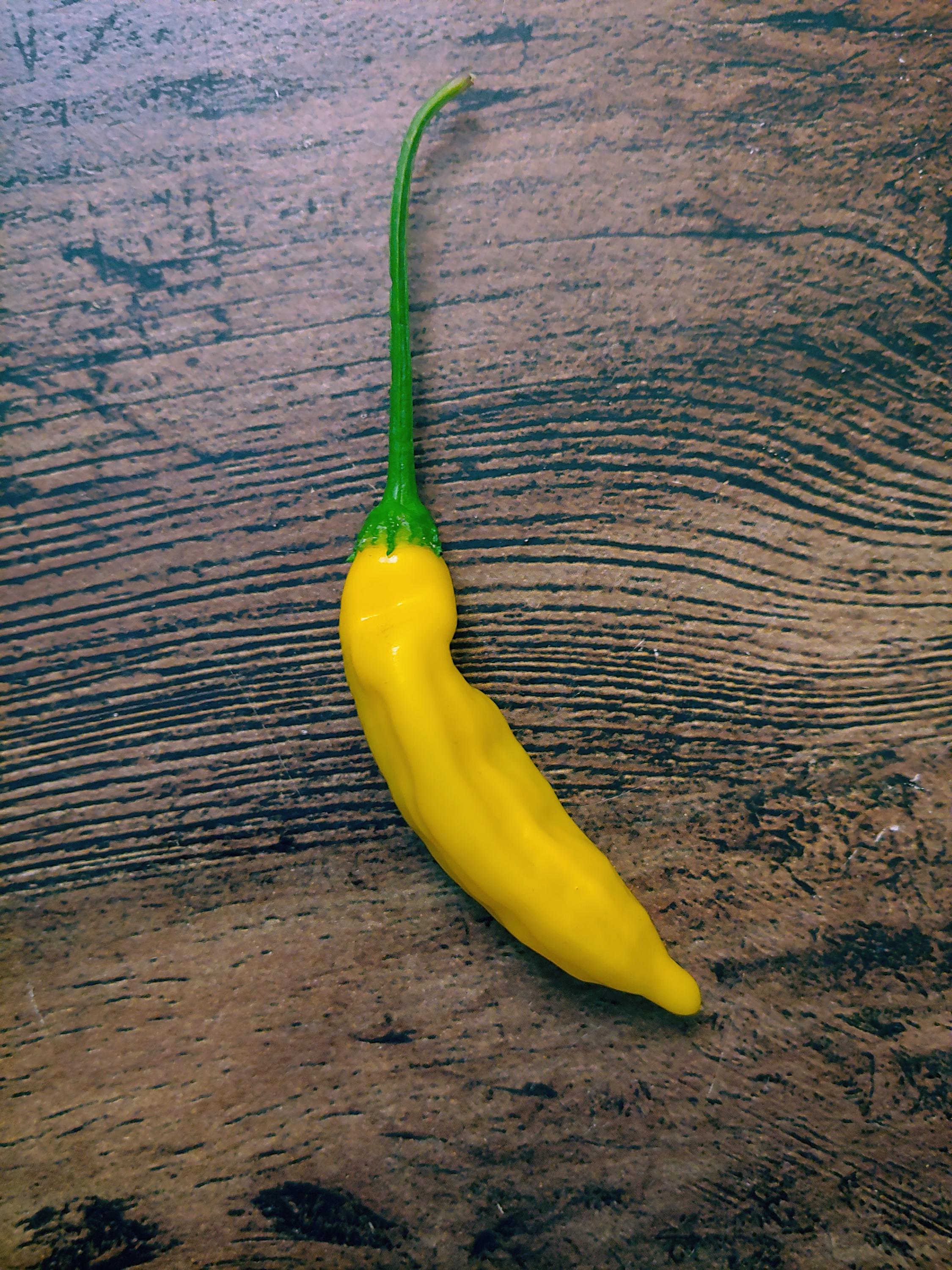 Aji Limon Pepper Seeds, A.k.a. Lemon Drop, Capsicum Baccatum - Etsy