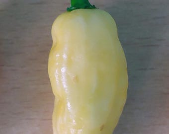 Devil's Tongue White pepper seeds, Capsicum chinense
