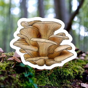 Oyster Mushroom Kiss-Cut Vinyl Decals, Stickers, Plant Lover Gift, Botanical Decor, Nature Inspired Decal, Foodie Gift, Kitchen Decor, Fungi