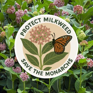 May include: A round sticker with the text "PROTECT MILKWEED SAVE THE MONARCHS" surrounds a graphic of a monarch butterfly on a milkweed plant. The background is a field of green leaves and pink flowers.