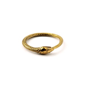 Bronze Ouroboros Ring, snake eats tail thin ring, snake serpent band ring, dainty statement ring, snake ouroboros jewelry, Death and Rebirth
