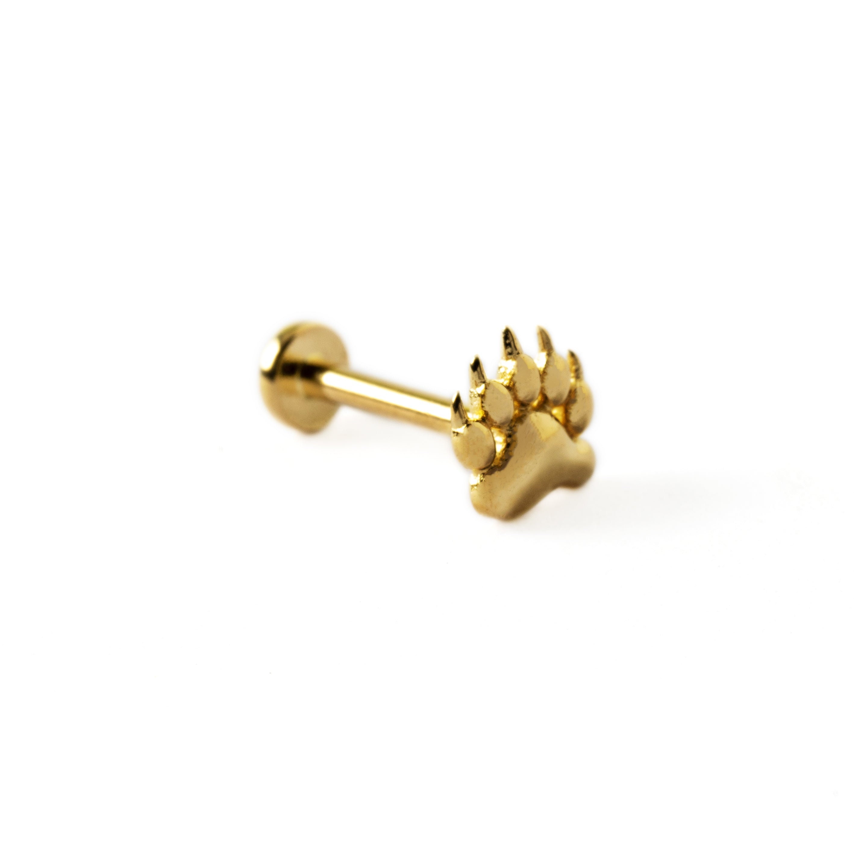 14k Gold Bear Paw Labret, Internally Threaded Screw on Earring 16g, 8mm ...
