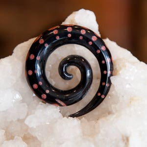 Black Spiral gauges with Coral dots, taper gauge earrings for stretched ears 6g 5/8 ear gauges, natural ear stretchers, gauge jewelry image 8