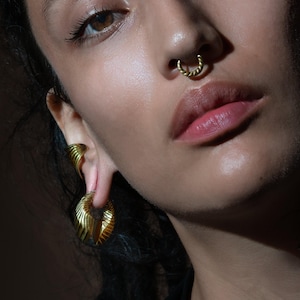 Puede incluir: Primer plano de un rostro con joyas doradas. Se ve un aro de nariz retorcido y pendientes grandes y ornamentados. Los pendientes tienen un diseño en capas en forma de abanico. La piel tiene un tono cálido y los labios son de un rosa natural.