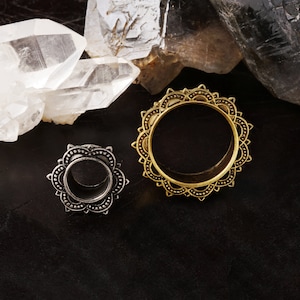 Puede incluir: Dos medidores de oreja adornados, uno plateado y otro dorado, con diseños intrincados. Los medidores están sobre un fondo negro.