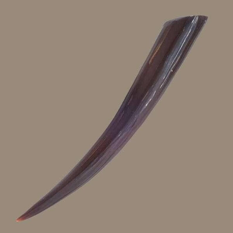 Expansión de oído de cuerno Tribu Camilla de oreja de | Etsy