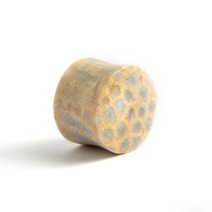 Fossil Coral plugs, double flare stone plugs 6mm (2g) - 25mm (1’’) organic natural  plugs and tunnels stone gauges jewelry, PRICE PER SINGLE