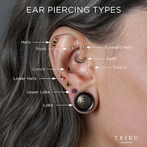 Piercing Labret Titane 16G Améthyste - Helix Tragus Conque Lèvre Interne 6/8/10/12mm