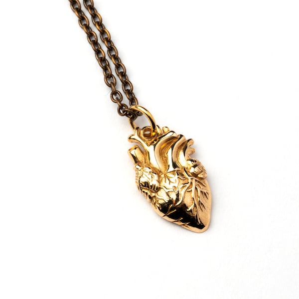 Collier de charme de cœur anatomique en bronze, pendentif de cœur super réaliste délicat livré sur une chaîne en bronze, bijoux de cœur uniques faits à la main