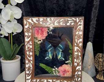 Butterfly Shadow Box Frame, Real Insect Art, Dried Flowers