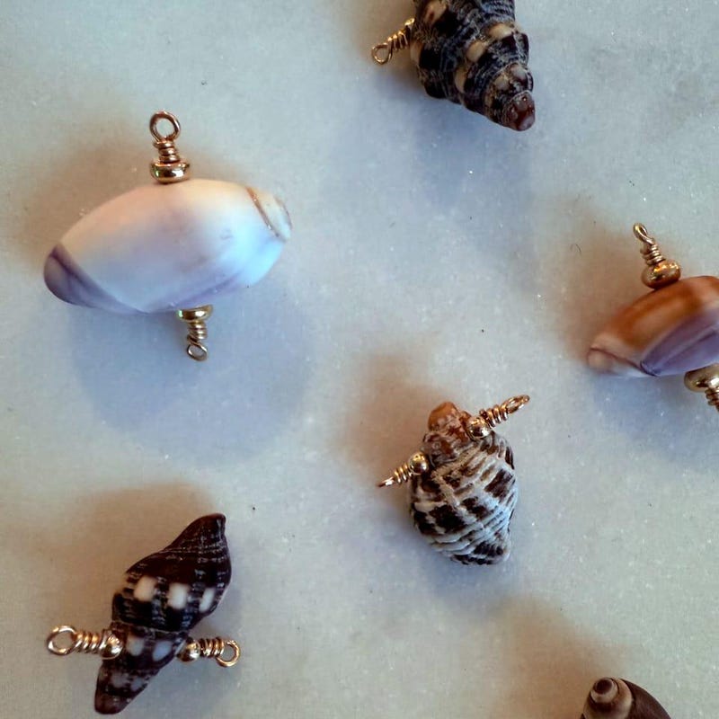 Sea Shell Wire Wrap - Etsy