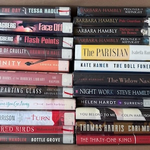 Lot of 24 Fiction Hardcover Novel Books Mystery Sci-fi Hambley Vampire A4 {pre-owned}