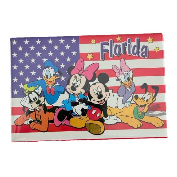 ヴィンテージ USA 国旗 アメリカン ディズニー フロリダ 冷蔵庫