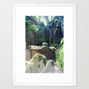 Deep Green Forest Print // Dark Green Moss Forest Photography // Forest Print // Forest Photography // Dark Green Print image 1