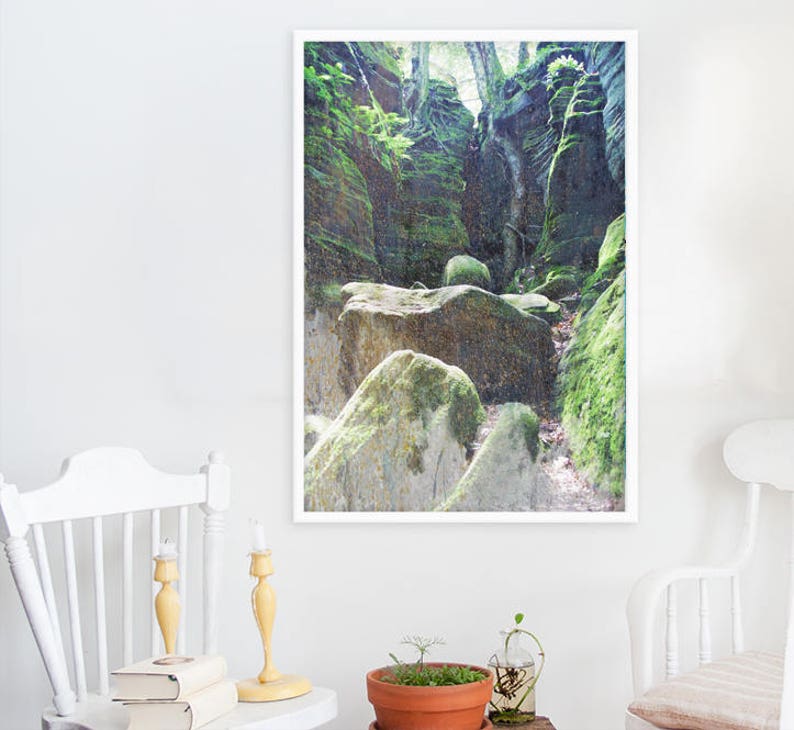 Deep Green Forest Print // Dark Green Moss Forest Photography // Forest Print // Forest Photography // Dark Green Print image 3