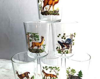 Lot De 6 Verres Vintage à Oiseaux Exotiques - Fabrication Française - 200 Ml