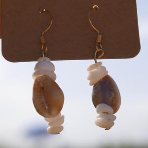 Honey Cowrie Shell Earrings | Natural Pukashell Dangle Earrings | Hawaiian Beach Jewelry by Stoked Seashells