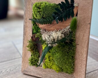 Cadre végétal à poser en bois de manguier – Mousse et fougère stabilisées – Décoration naturelle en relief
