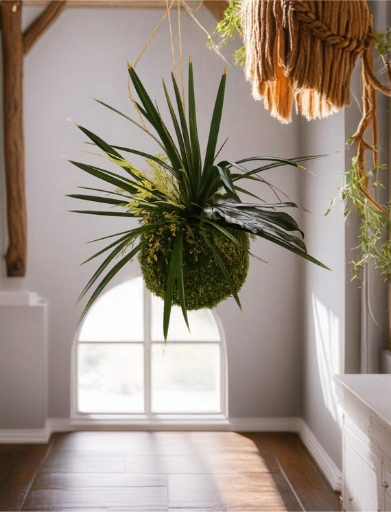 Kokedama exotique suspendu en végétaux stabilisés – sphere naturelle 20cm  – Décoration zen bohème – Suspension végétale artisanale