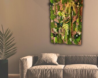 Cadre végétal mural en mousse stabilisée et écorce véritable – Décoration d'intérieur artisanale – Tableau végétal forêt tropicale – unique