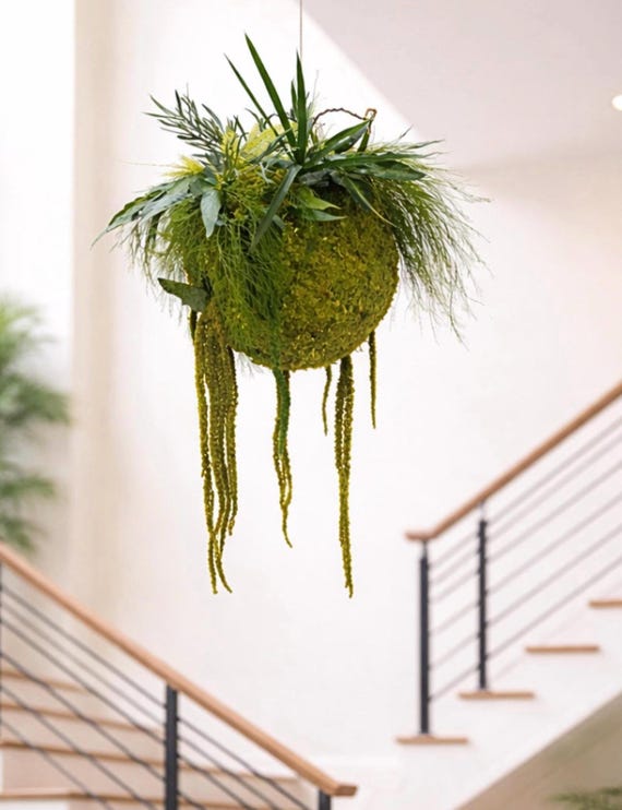 Kokedama végétal suspendu grand format – Boule végétale stabilisée – Décoration murale naturelle – Suspension plante sans entretien