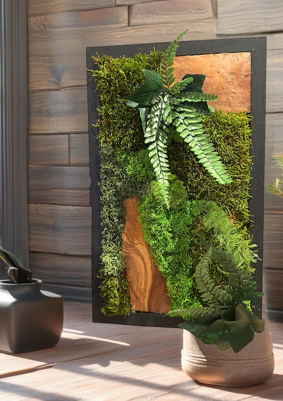 Cadre végétal stabilisé– Décoration murale naturelle– Mousse et fougères – Tableau végétal design – Fait main