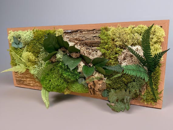 Cadre végétal en mousse stabilisée panoramique- Mousse naturelle, feuillages et écorces de liège – Décoration murale artisanale et durable