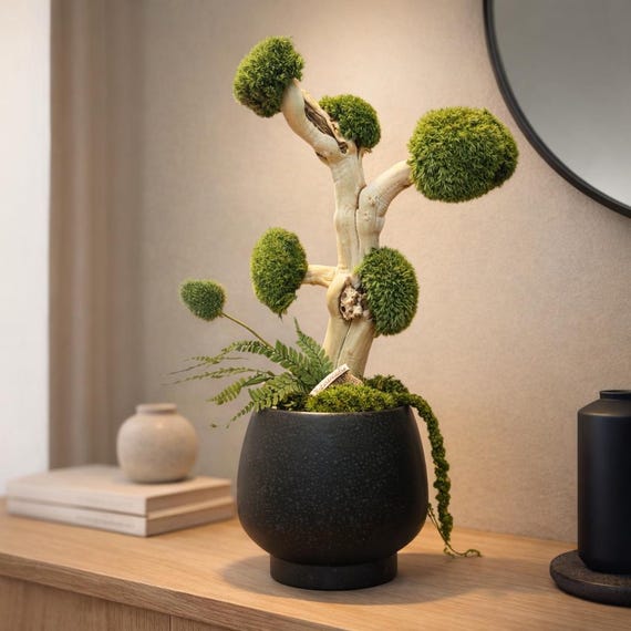 Bonsaï stabilisé design – Arbre décoratif zen en bois flotté et mousse – Décoration naturelle sans entretien – Cadeau bien-être