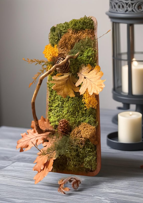 Cadre végétal en mousse naturelle– Décoration bohème et élégante