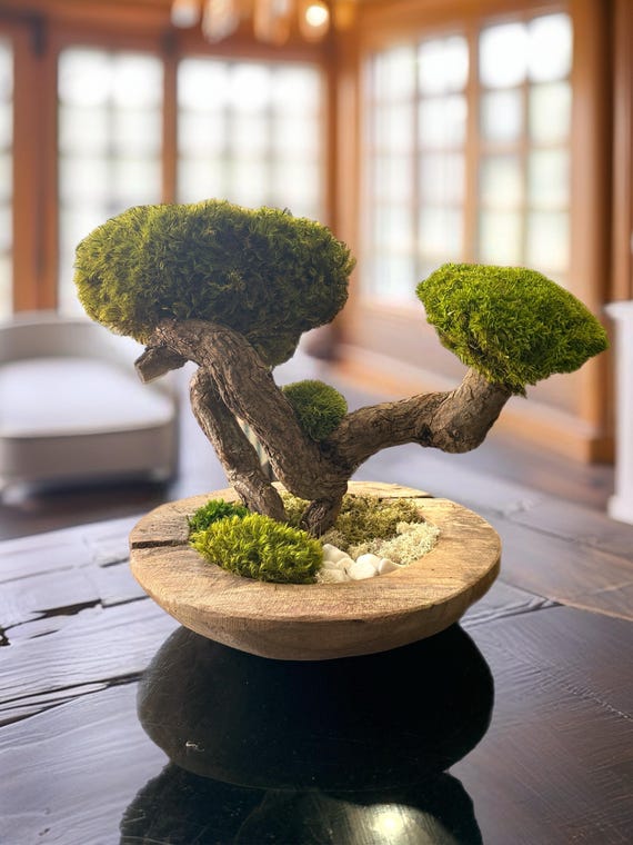 Bonsaï Stabilisé Double Canopée – Sculpture Végétale Zen en Bois Naturel et Mousse Stabilisée