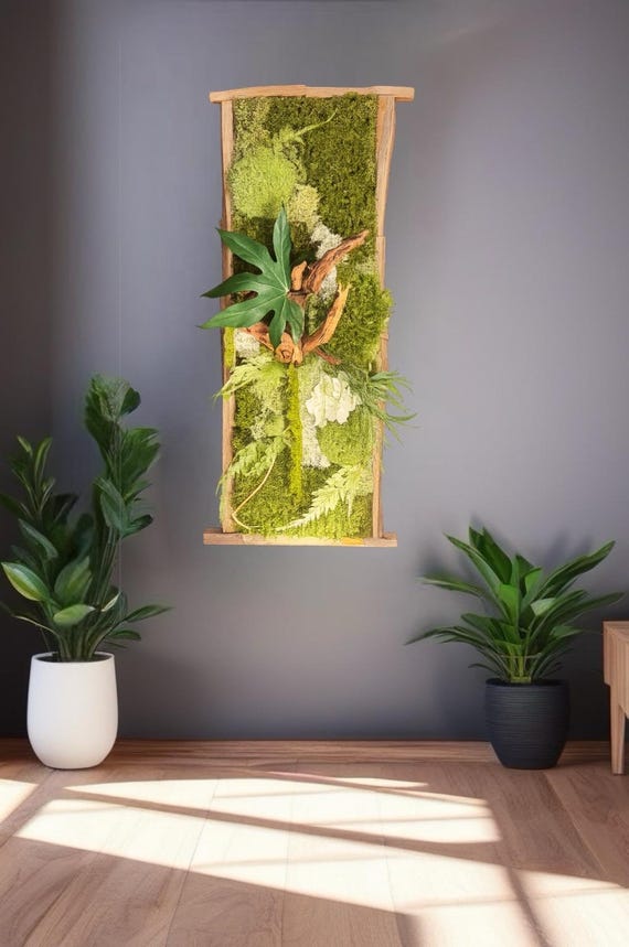 Cadre végétal stabilisé– Décoration murale naturelle haut de gamme – Bois brut et mousse – Style zen, bohème chic, sans entretien