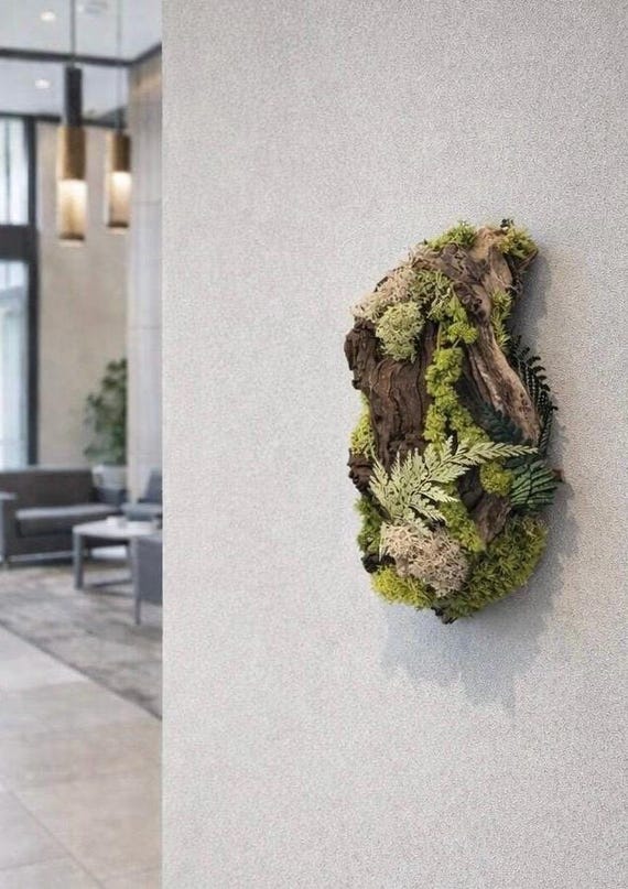 Cadre végétal en racine de bois d'olivier- Décoration murale naturelle et unique