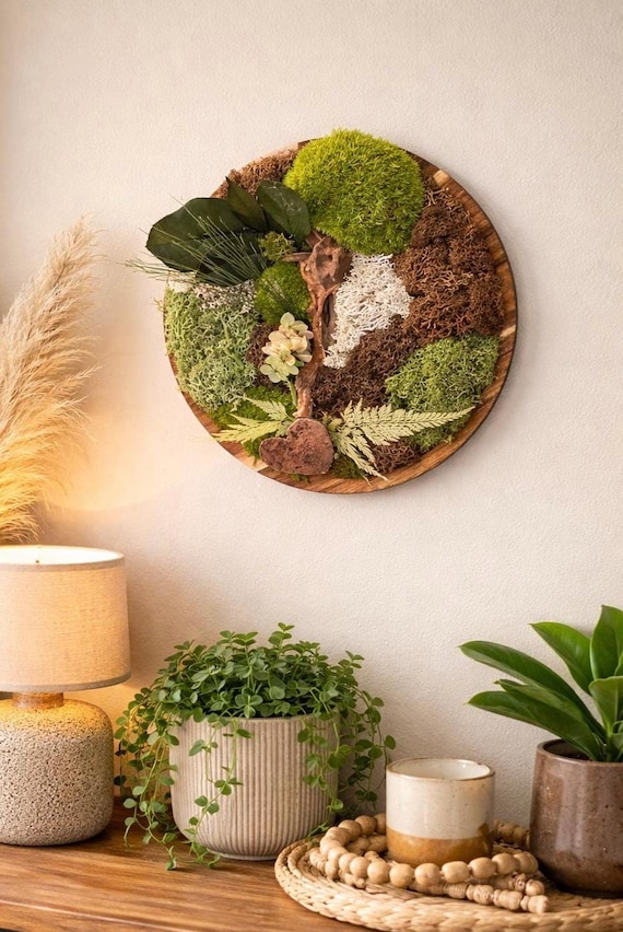 Cadre végétal rond 25 cm - Mousse stabilisée vert sauge - Décoration murale naturelle - Tableau végétal bois manguier - Déco zen design