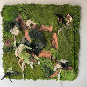 Panel vegetal de pared de musgo estabilizado cuadrado 100% natural