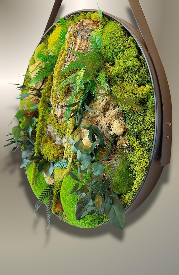 Grand cadre végétal rond  100% naturel-mousse et plante stabilisée