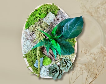Cadre végétal stabilisé ovale – Mousse naturelle, bois flotté et feuillage – Décoration murale artisanale en relief- Unique