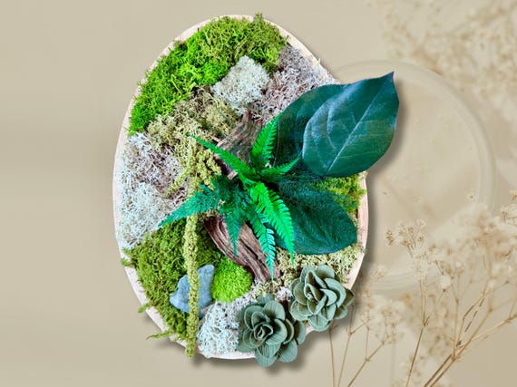 Cadre végétal stabilisé ovale – Mousse naturelle, bois flotté et feuillage – Décoration murale artisanale en relief- Unique