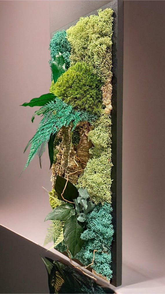 Cadre végétal mousse stabilisée forêt – déco murale naturelle en mousse & écorce | Art végétal vertical fait main | Décoration verte (50×20)