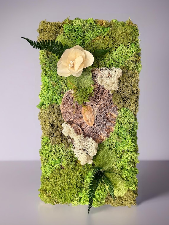 Cadre végétal en mousse stabilisée- Décoration d'intérieur murale unique artisanale - Design végétal authentique