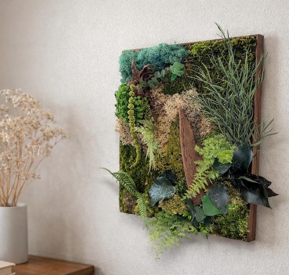 Tableau végétal en mousse naturelle stabilisée – tableau mural déco nature zen – « forêt exotique » Art végétal unique- Cadeau déco