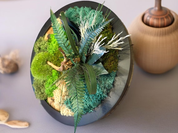 Cadre végétal mural rond en mousse et feuillages stabilisés– Décoration murale naturelle avec bois flotté – Création artisanale