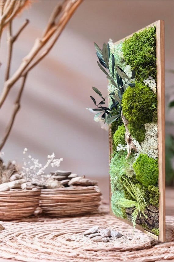Cadre végétal stabilisé– Décoration murale naturelle – Mousse, eucalyptus et bois flotté – Style zen et apaisant– Art végétal sans entretien