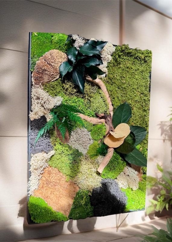 Cadre végétal stabilisé à poser ou accrocher – Mousse naturelle, bois, feuillage et fleur – fait main – Pièce unique- « la lisière »