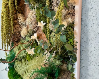Cadre végétal stabilisé forêt exotique – mousse, écorce et feuillage vert texturé  – Déco d'intérieur murale zen,  naturelle et élégante