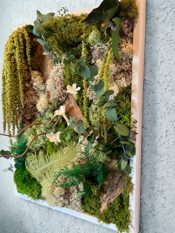 Tableau mural végétal en mousse naturelle stabilisée–  déco nature zen et poétique – « forêt exotique »