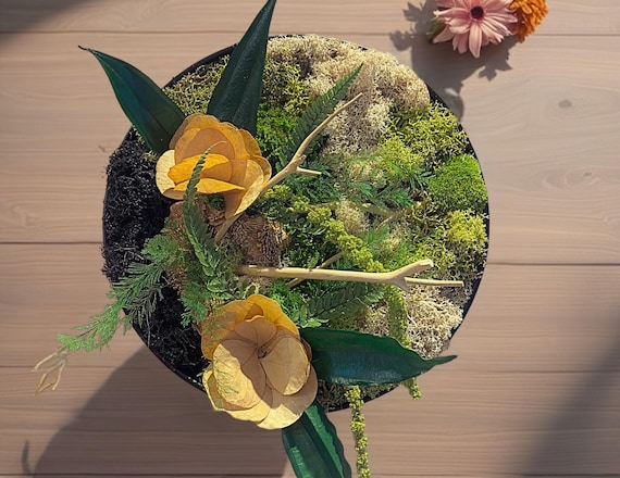 Cadre végétal rond stabilisé avec mousse, eucalyptus et feuillage naturel – Décoration murale artisanale – Tableau végétal fait main