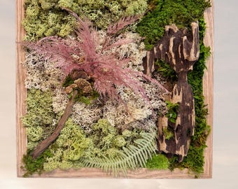 Cadre végétal forêt magique – Mousse stabilisée & feuillage naturel rose encadré carré bois naturel – Déco d'intérieur murale zen